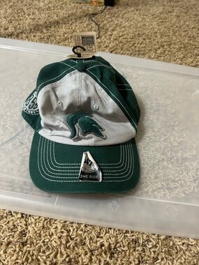 Green and Gray Spartan Logo Baseball Cap